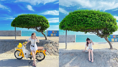 Đảo Phú Quý ở đâu? Giới thiệu về đảo Phú Quý từ A-Z